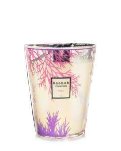 baobab collection perseus coral candle