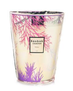 baobab collection perseus coral candle