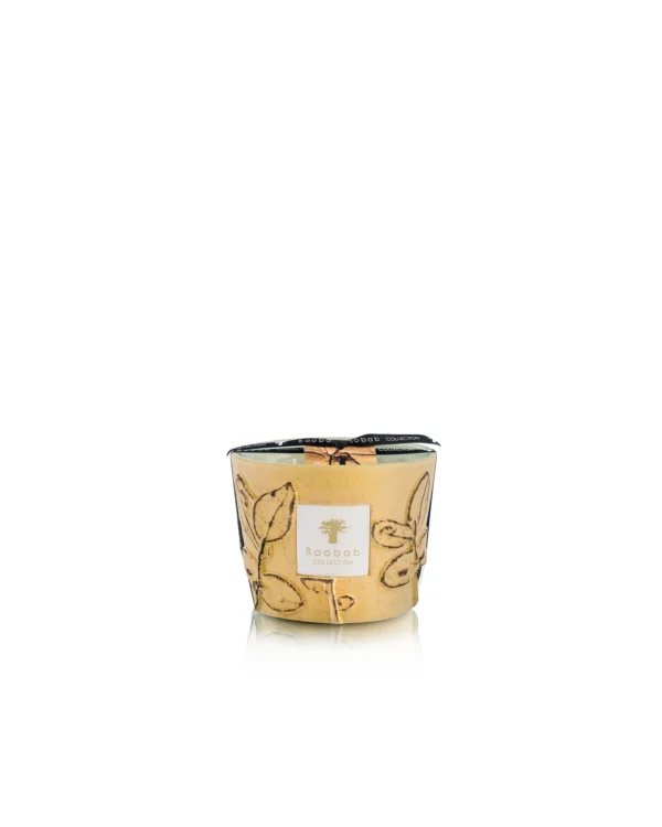 Baobab Collection - Folia Garrigue MAX 10